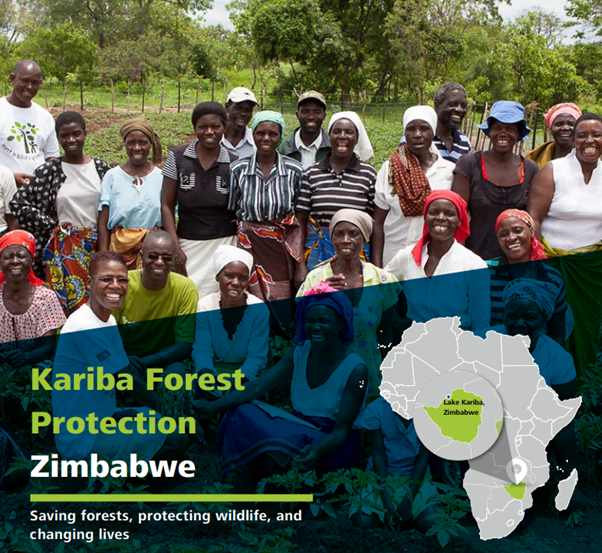 Bellrock Kariba Forest Protection Zimbabwe